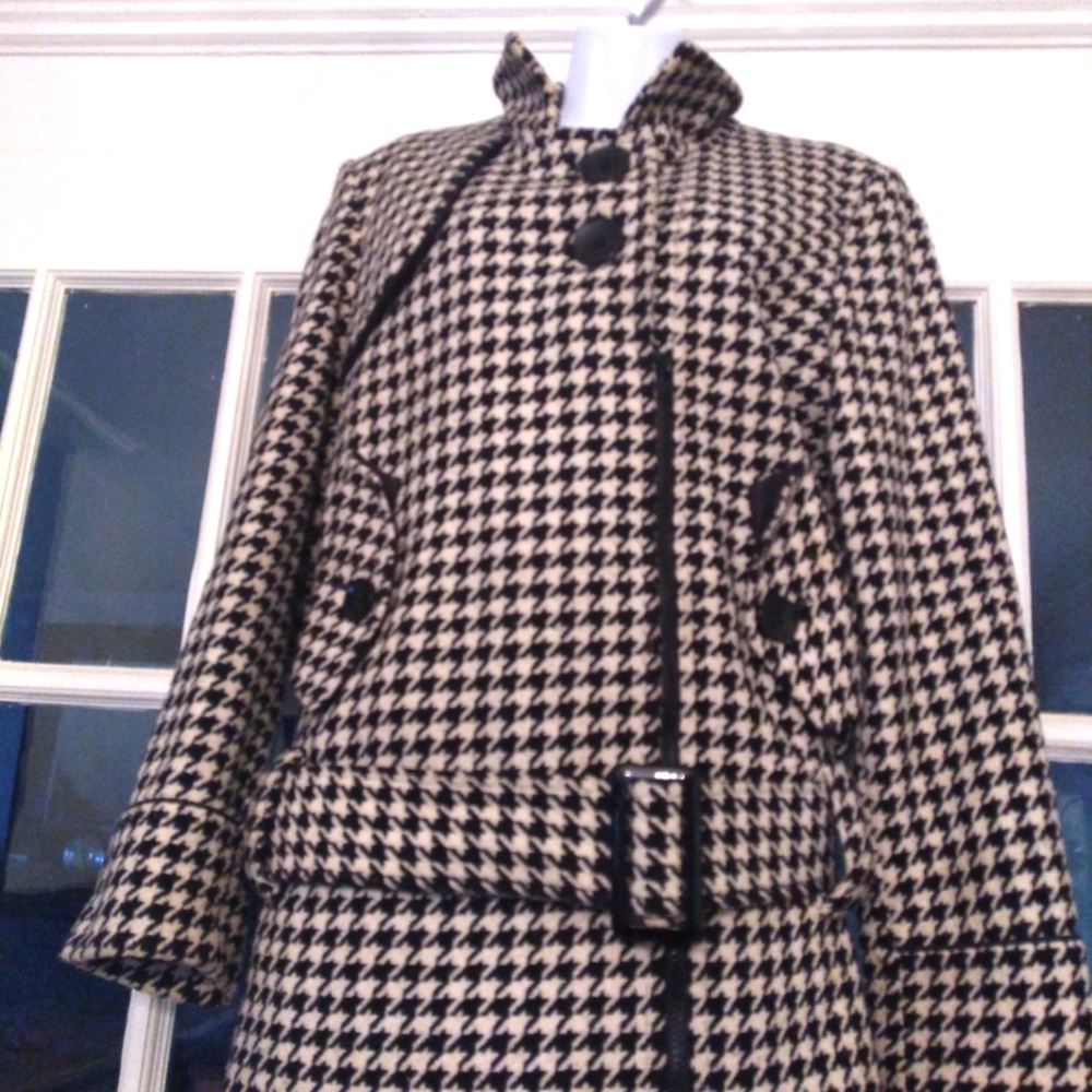 Black and white hound coat